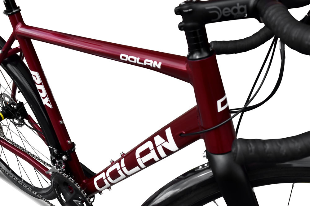 RDX-Burgundy-105-R7020-Bike-11.jpg