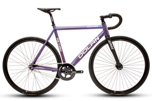 New-Pre-Cursa-Chameleon--2Bike.jpg
